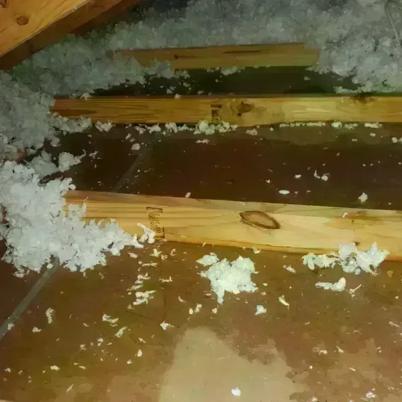 Attic Water Damage in Byron, CA