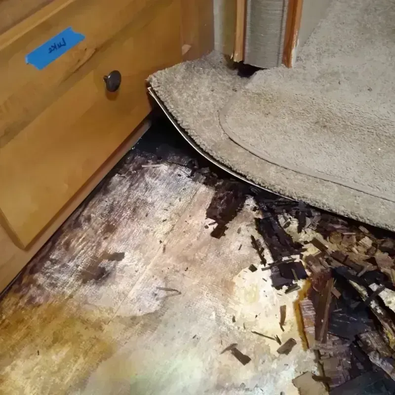 Wood Floor Water Damage in Byron, CA